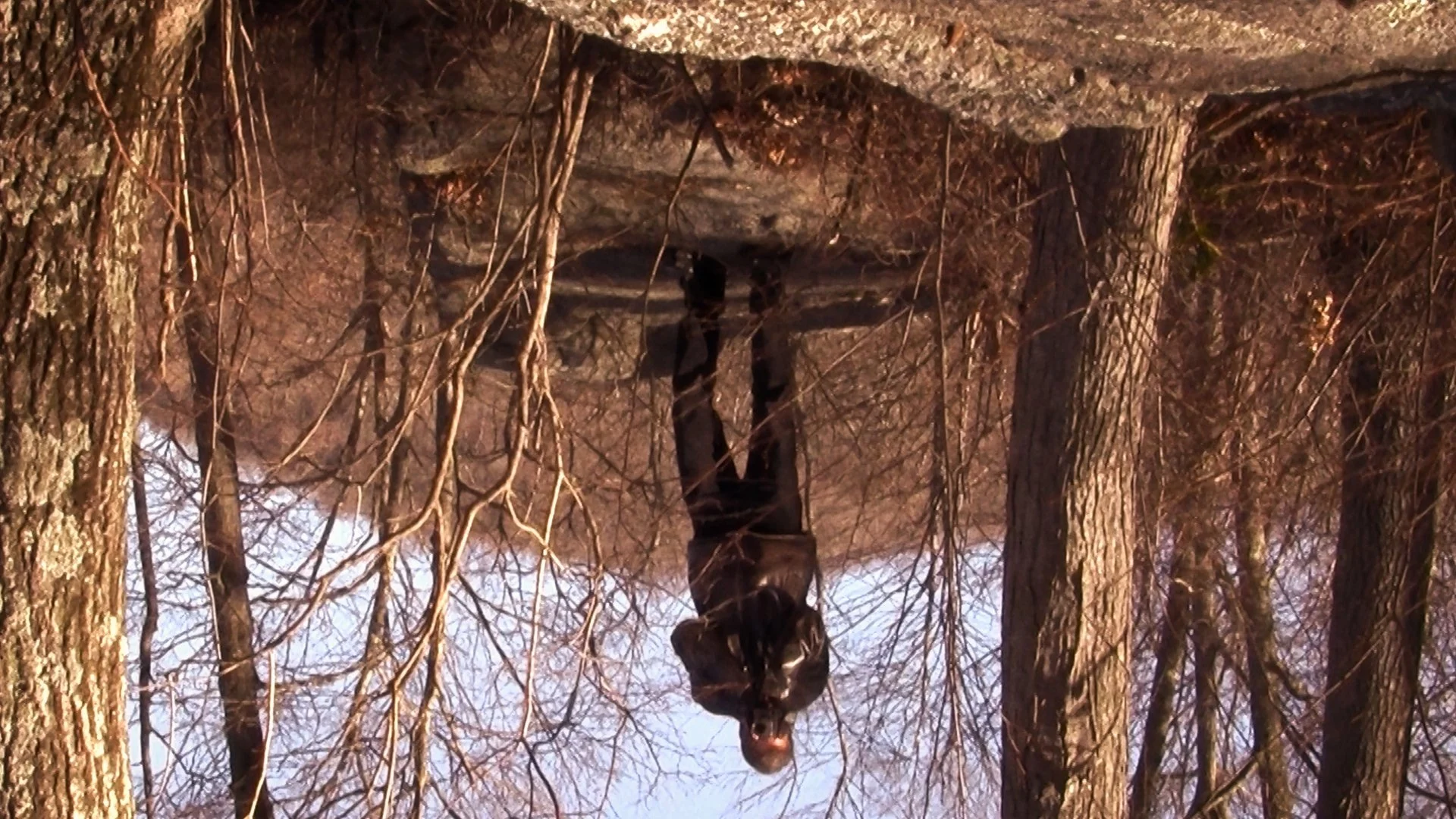 Still 2025-07-18 100129_1.3.12.jpg