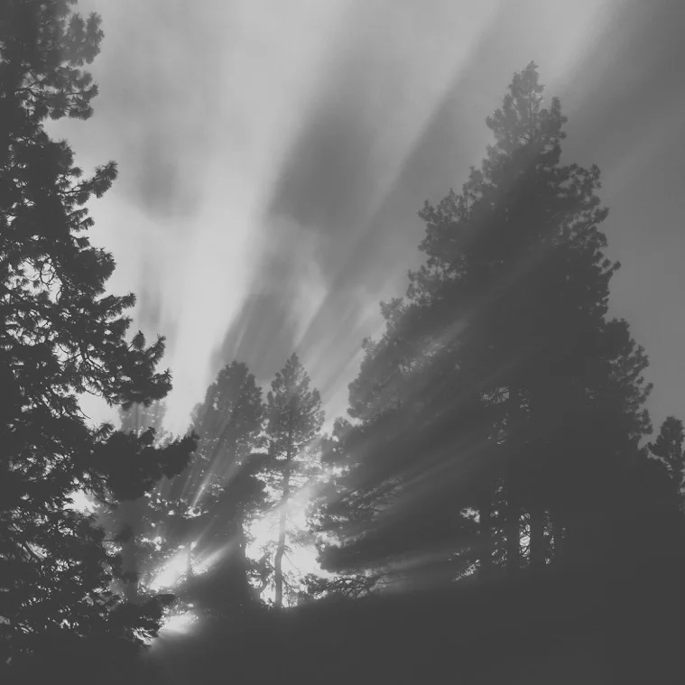 Peter Lovera in the Village at Meridian