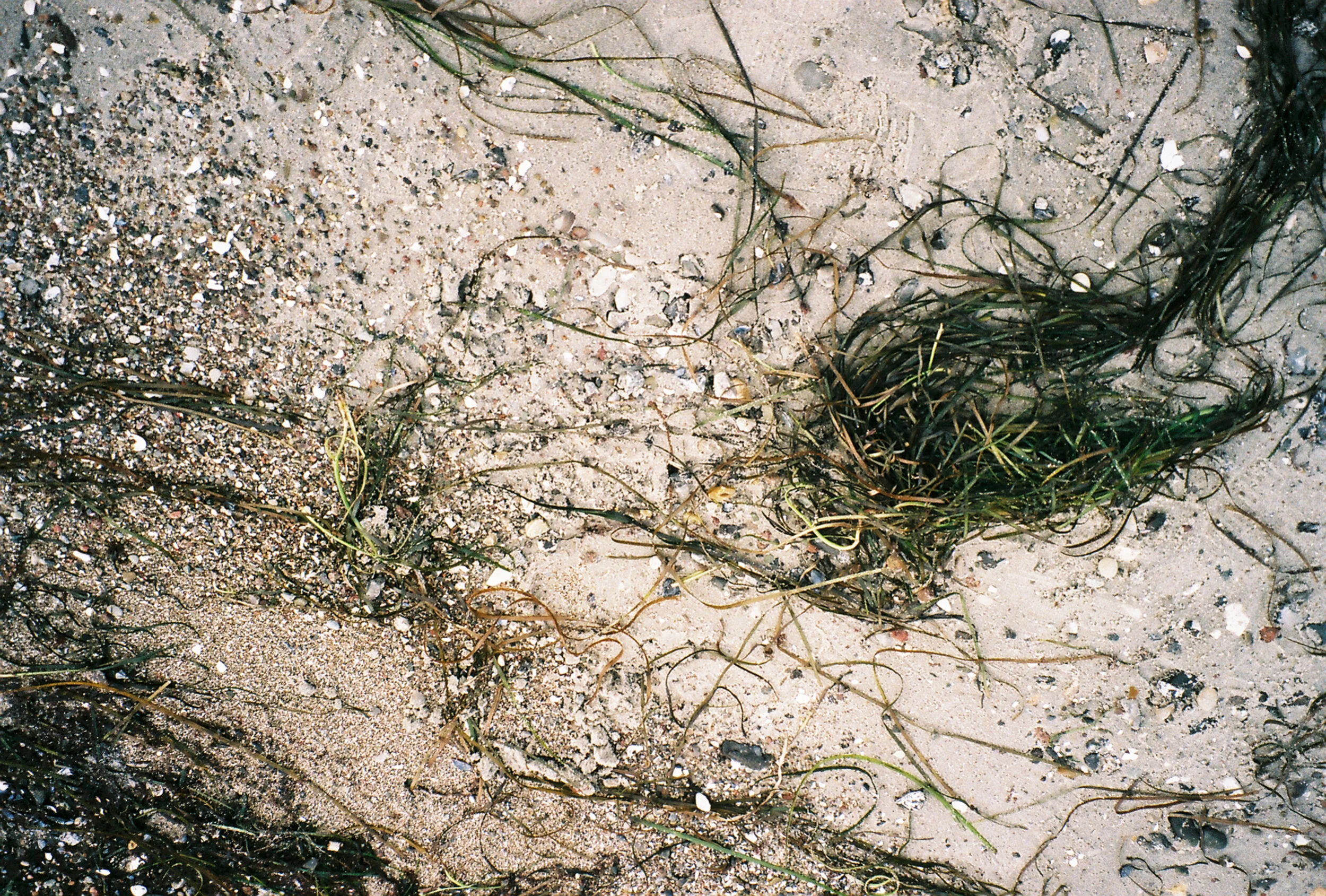 1140_02A.jpg