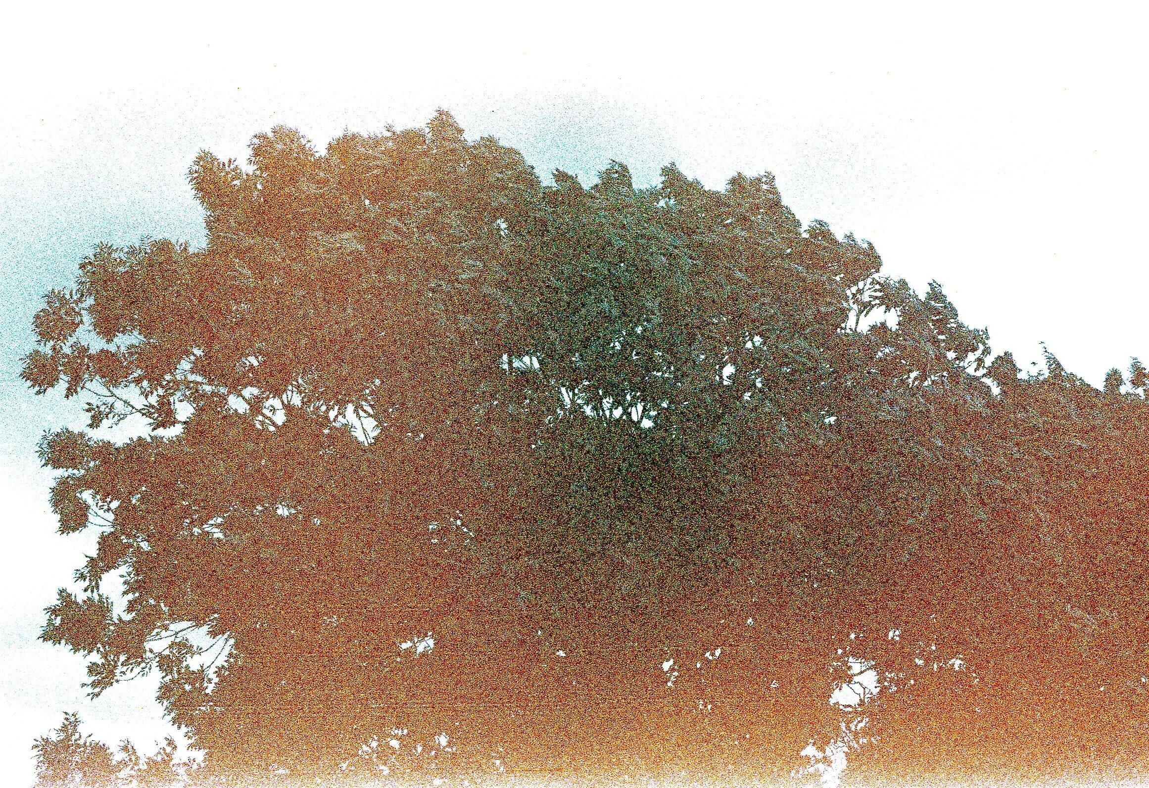 Untitled5.jpg