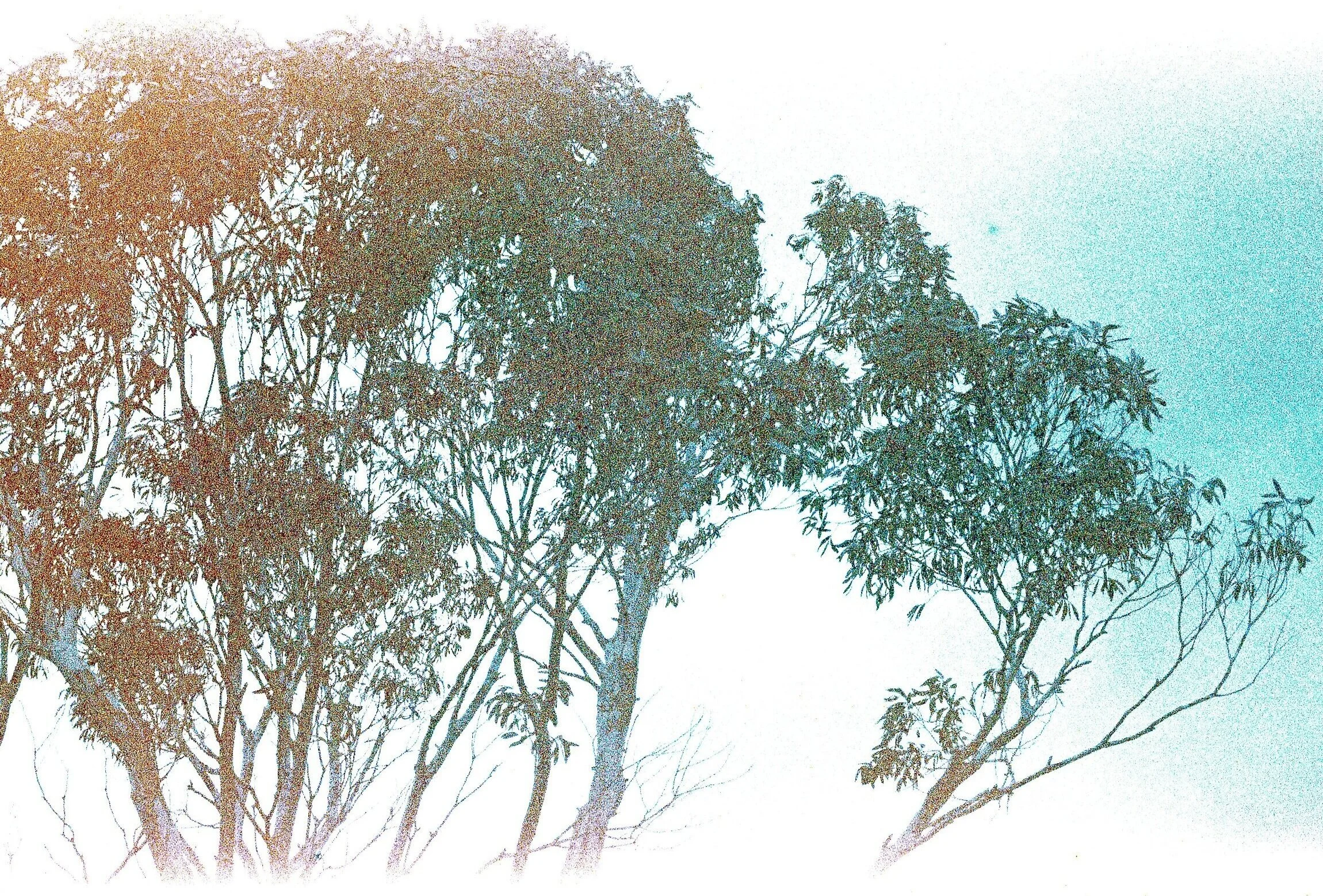 Untitled3.jpg