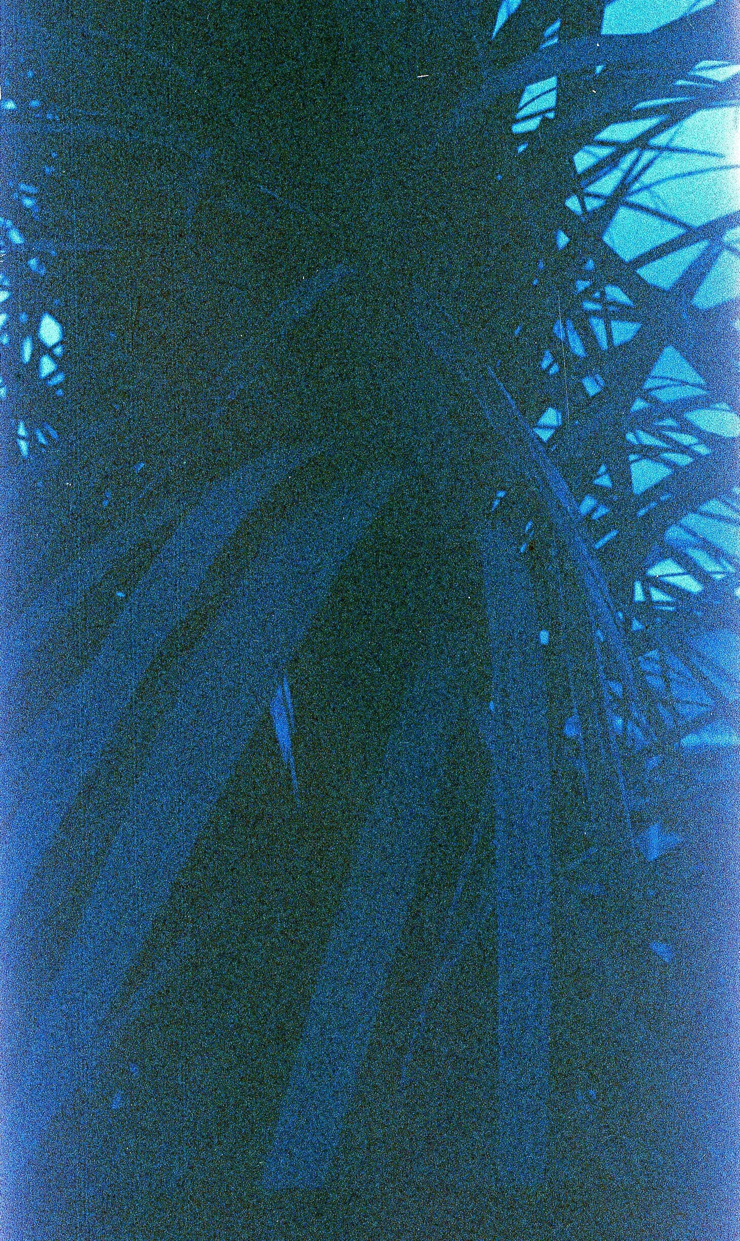 Untitled.jpg