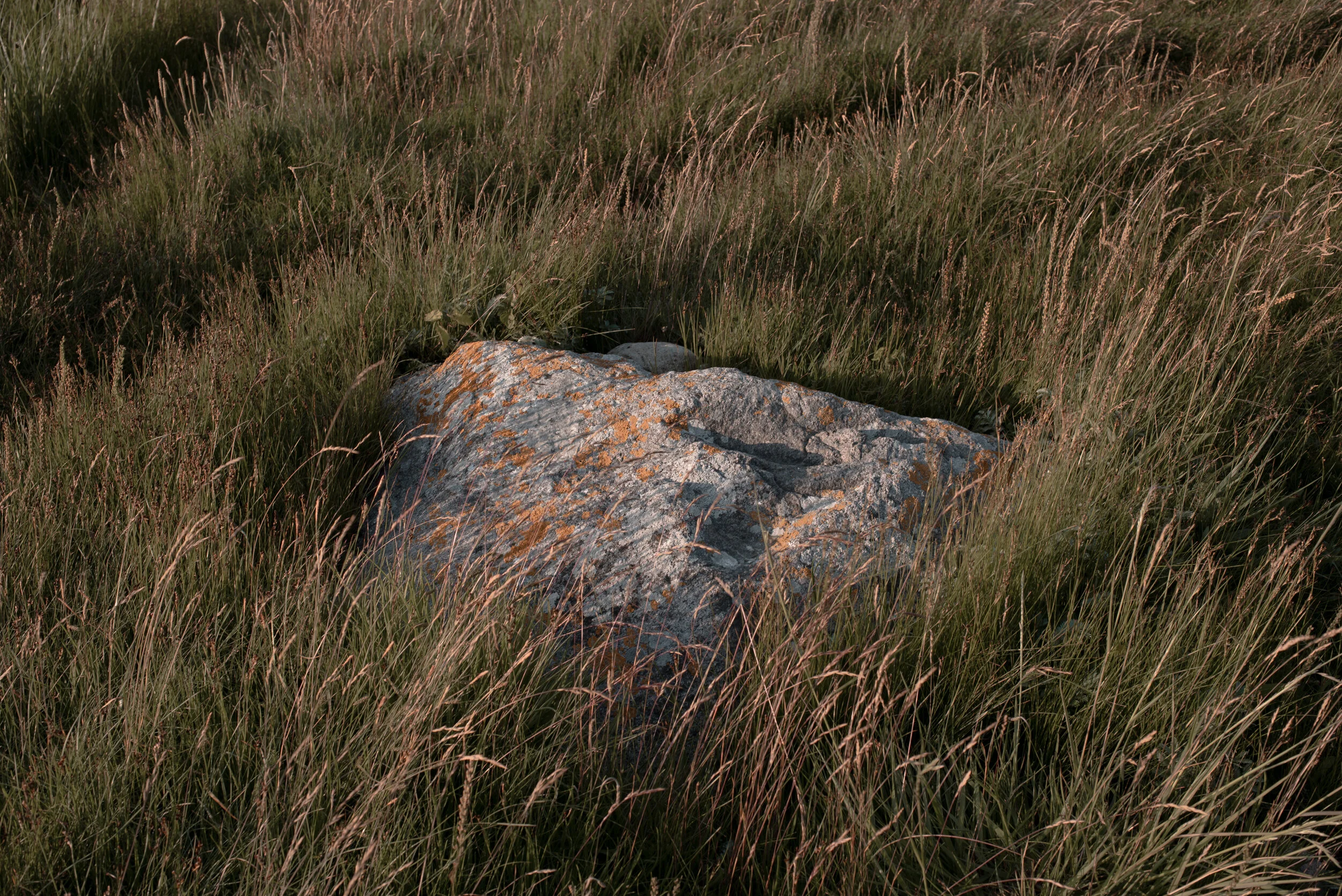 DSC_4065.jpg