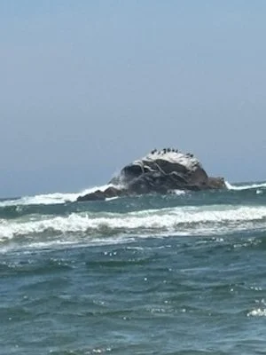 beach ic.jpeg