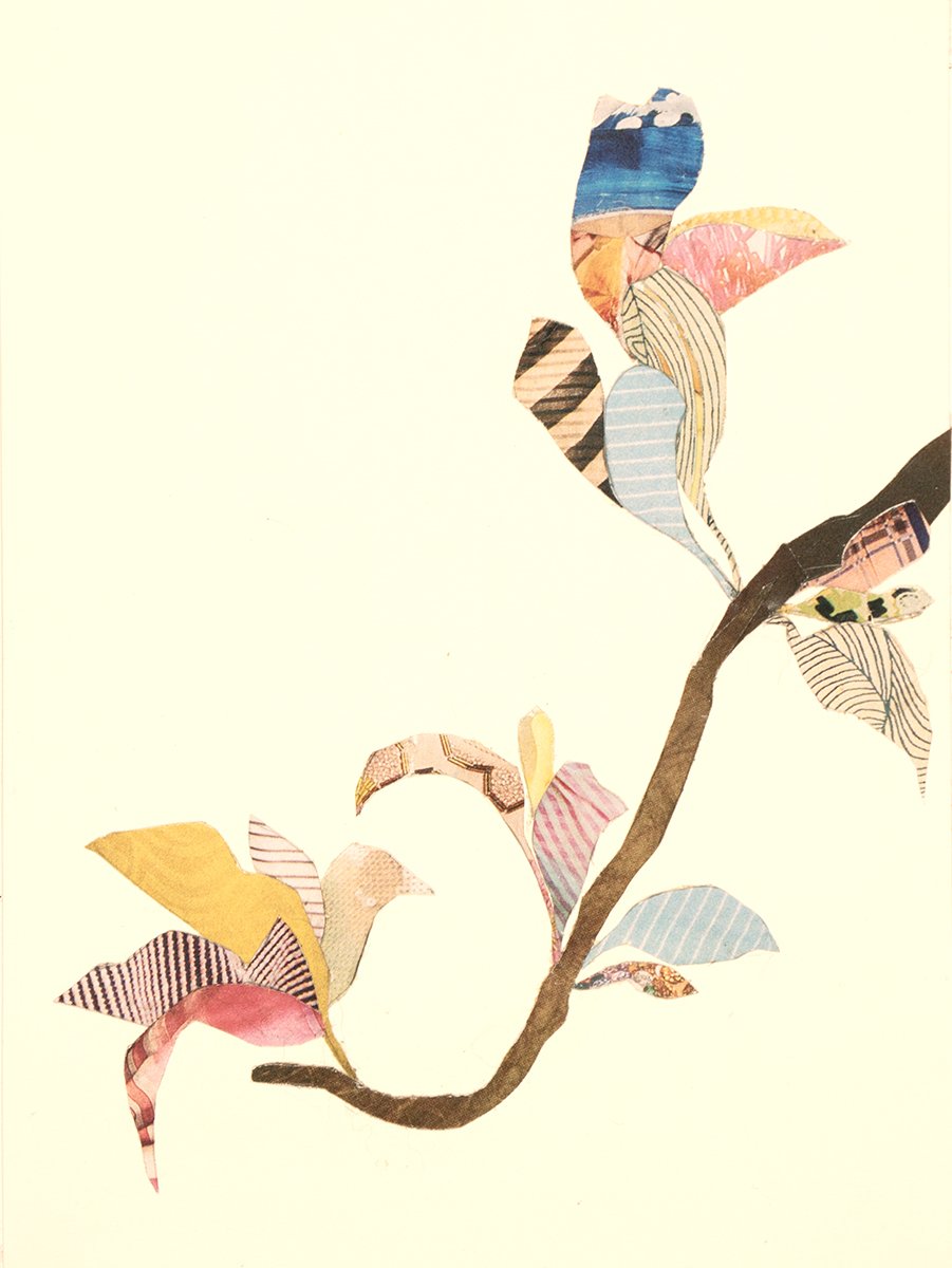 IMG_5751 72 dpicopy.jpg