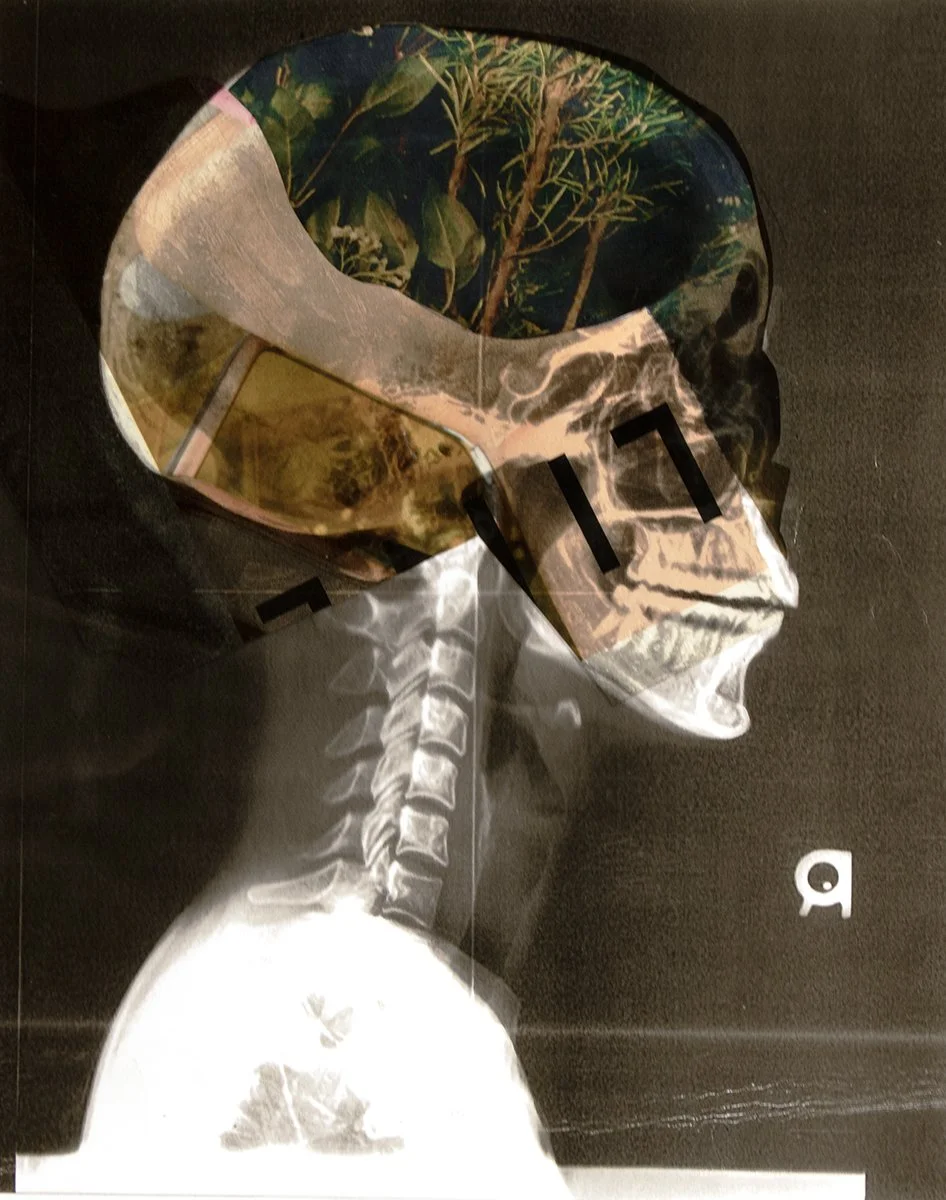 IMG_5646 72 dpicopy.jpg