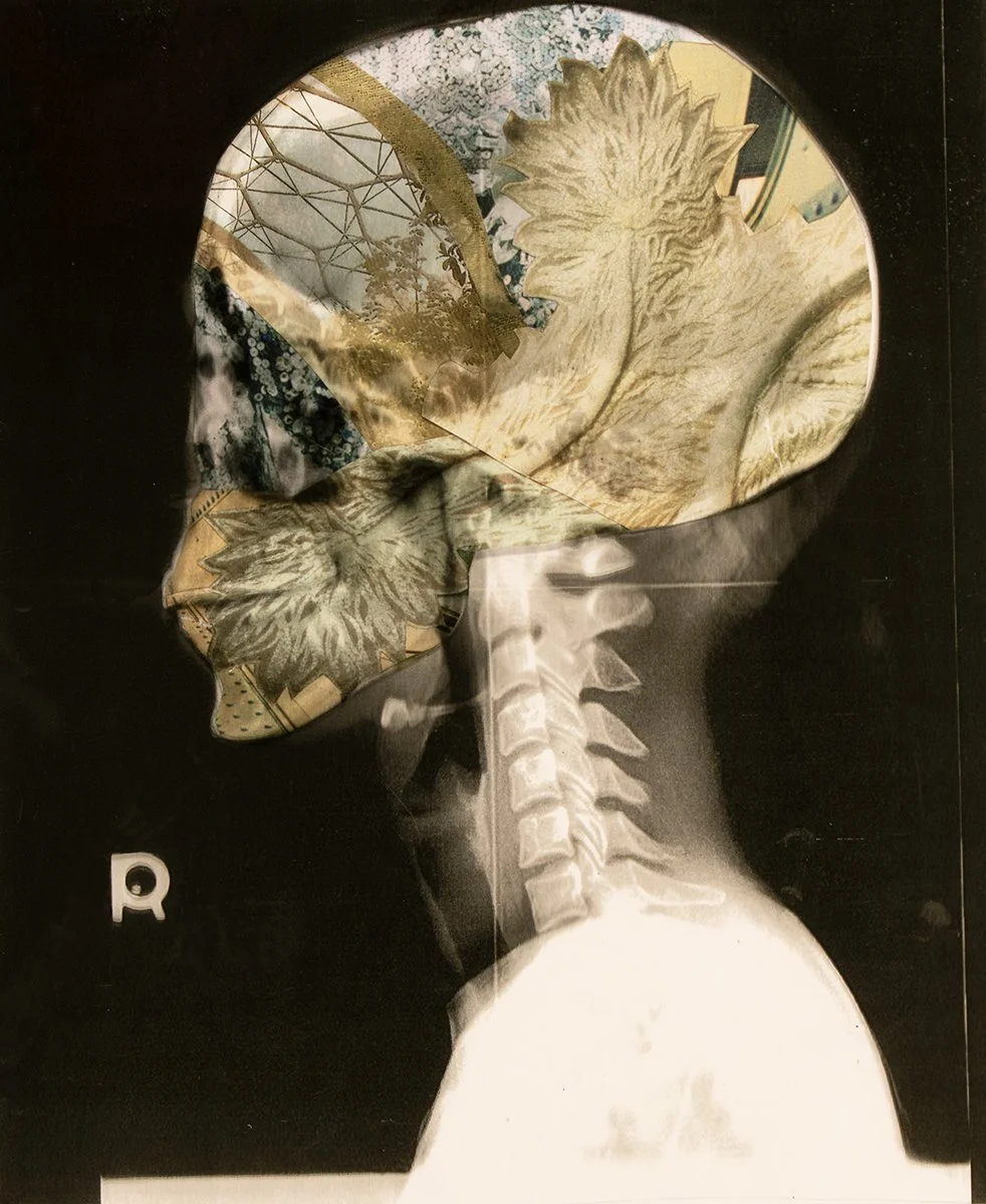 IMG_5727 72dpi 1200pixels.jpg