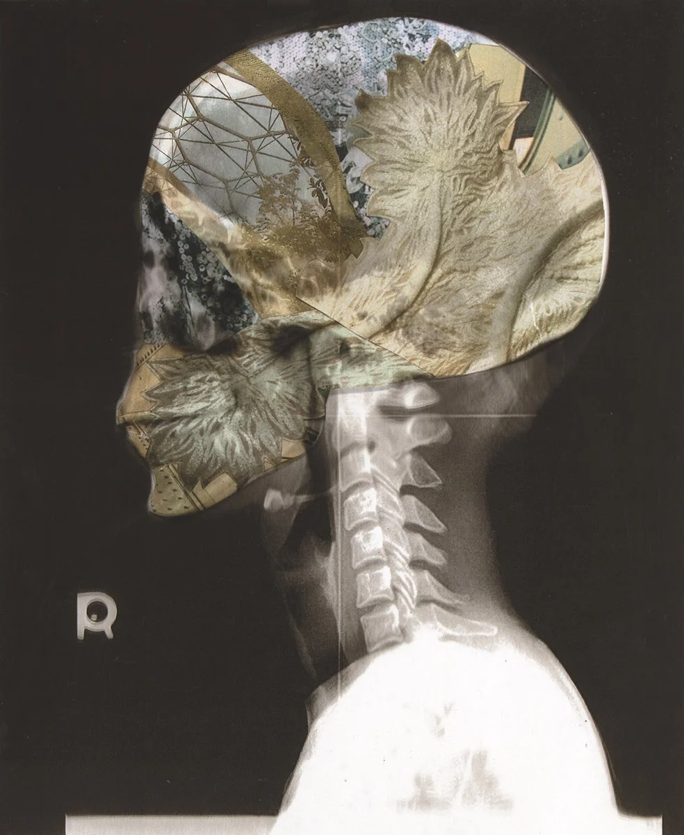 IMG_5728 72dpicopy.jpg