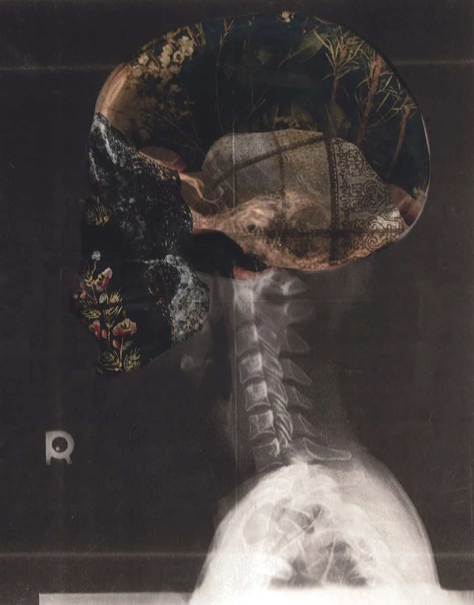 IMG_5631 72 dpi copy.jpg