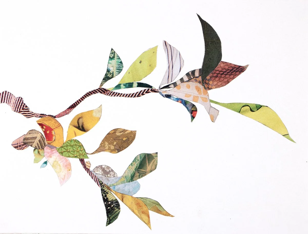 IMG_5747 72 dpicopy.jpg