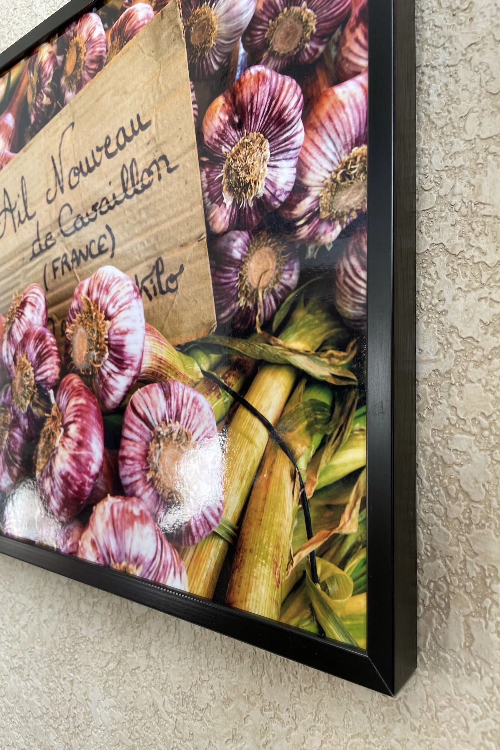 French Purple Garlic, Frame edge.jpg