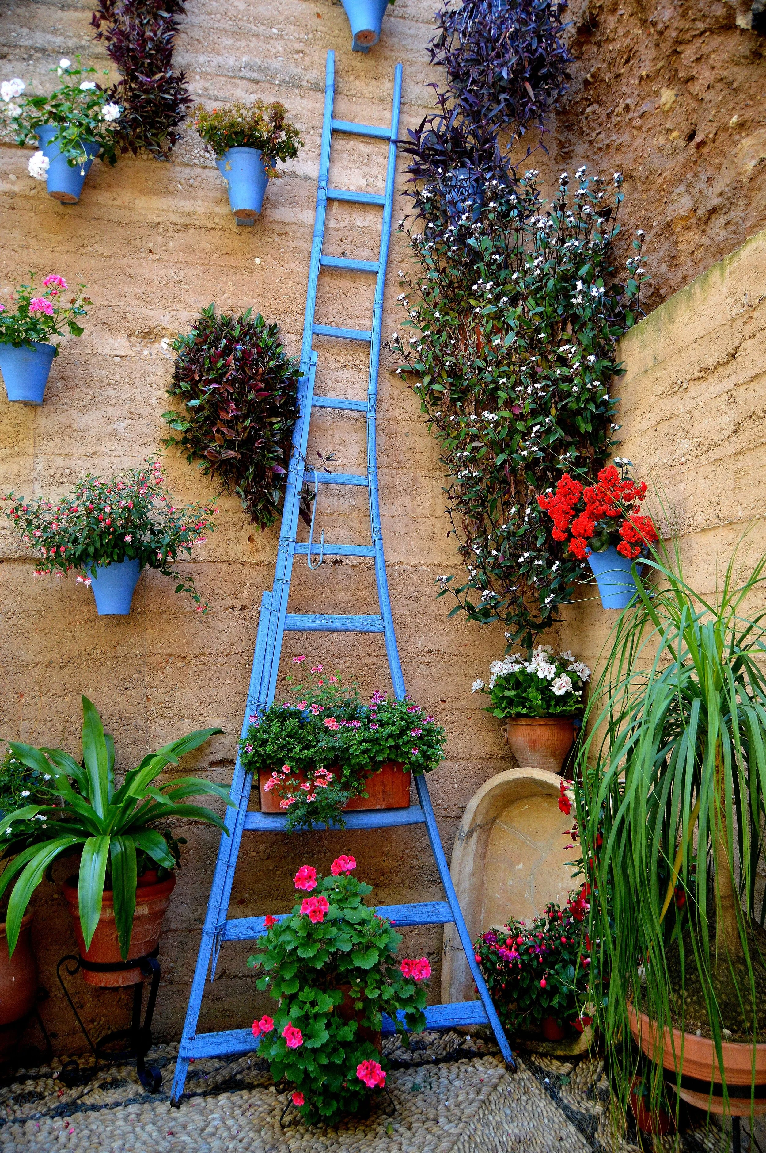 Blue Ladder-Spain.JPG