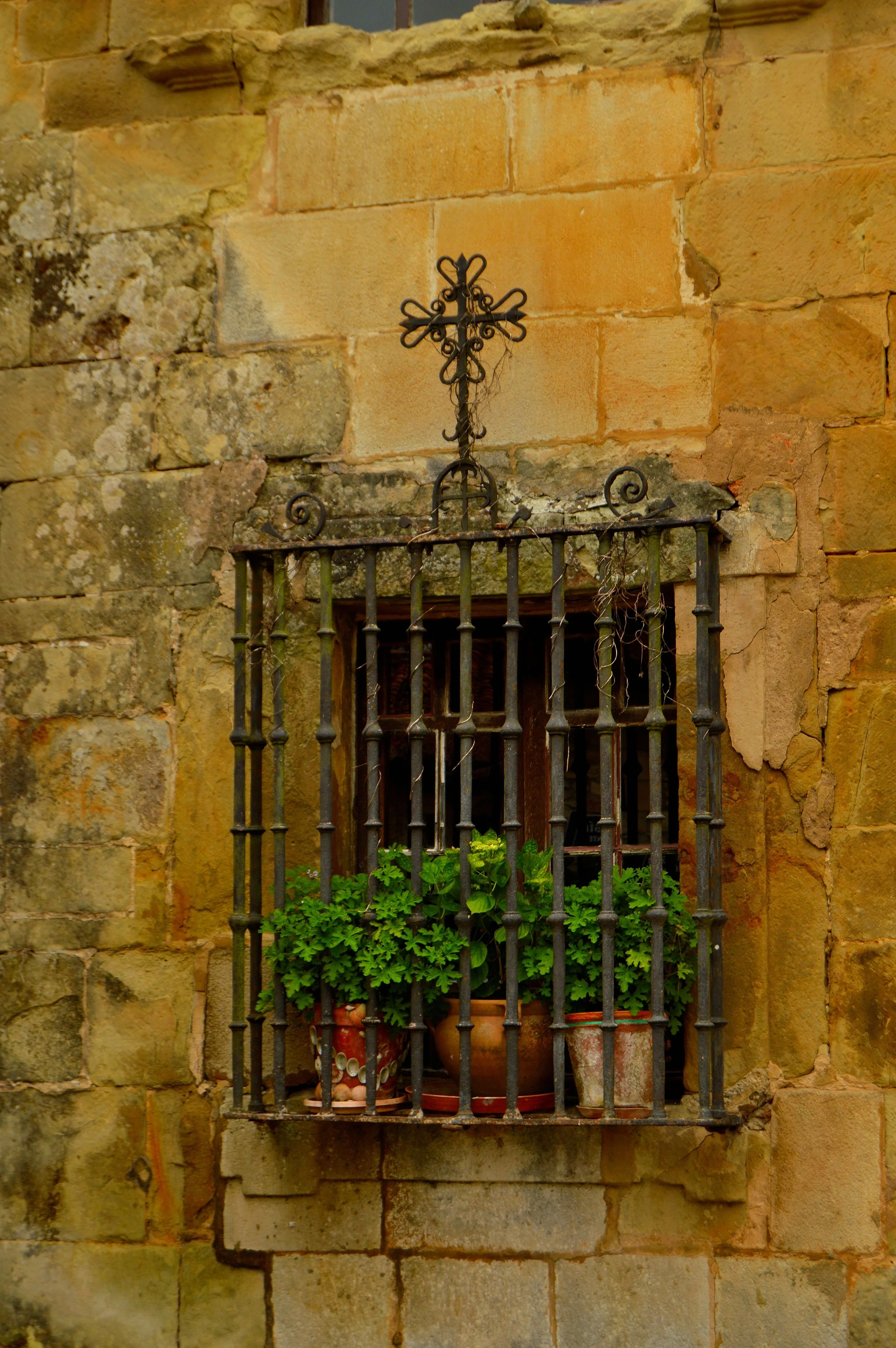 DSC_0617.JPG