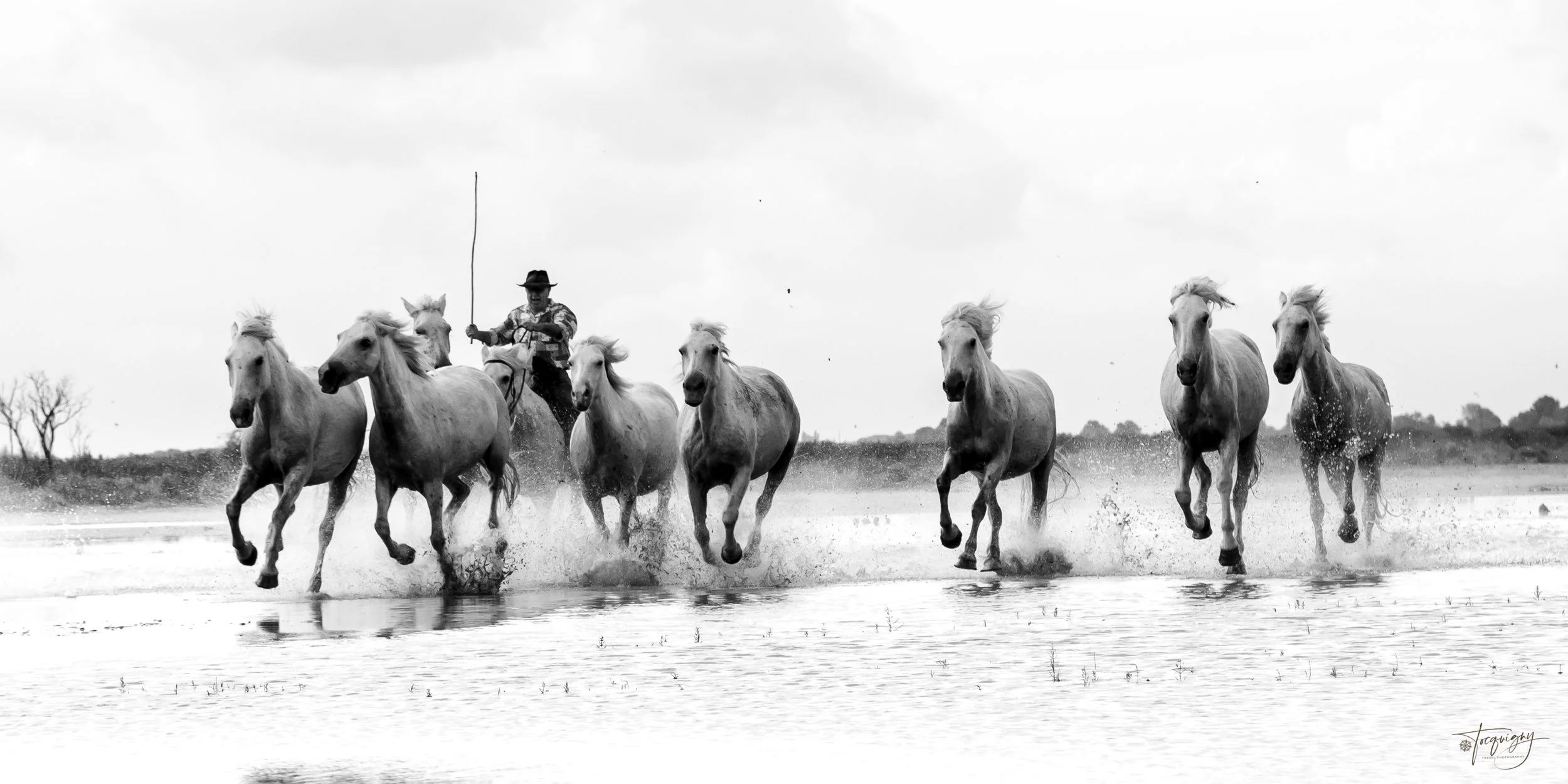 Camargue B&W 1x2_Q7A7250.jpg