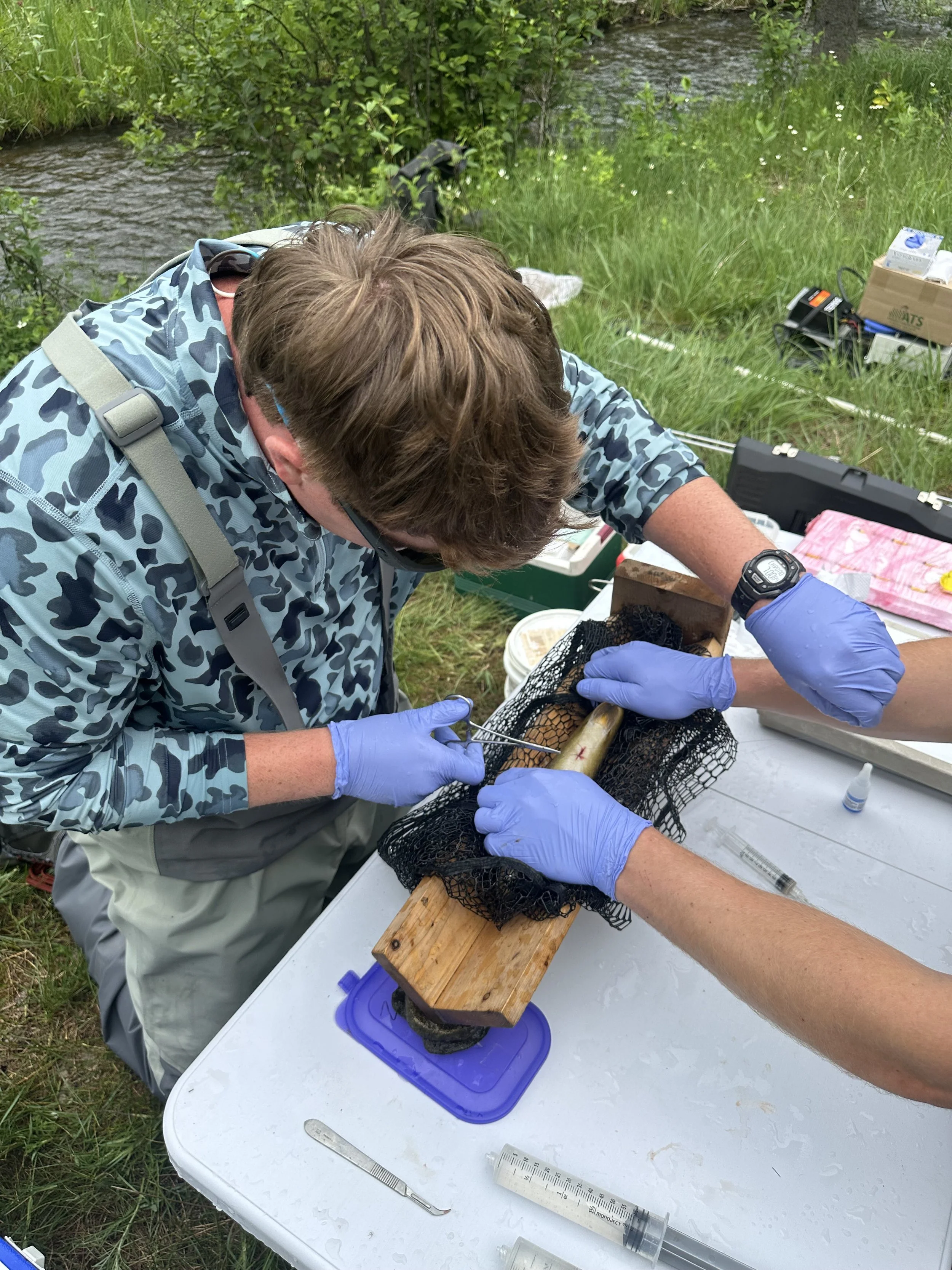 East Branch Telemetry Study  By Logan Clark and Dr. Mark Luttenton