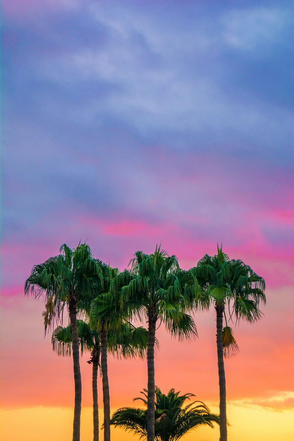 reviews-1-beautiful-day-counseling-center