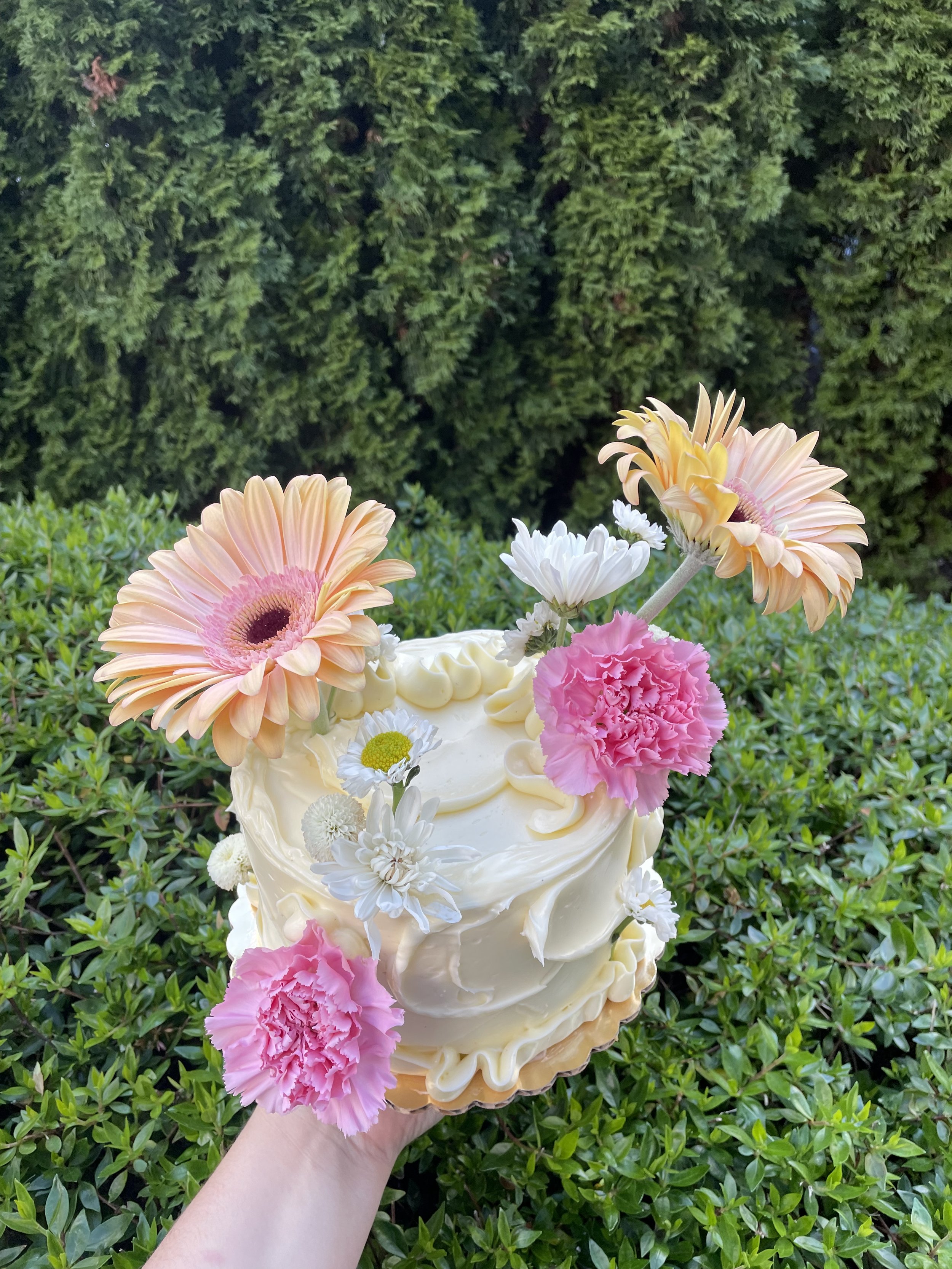 2/24 Cake Decorating Class - 6'' Yuzu-Cranberry Chiffon Cake