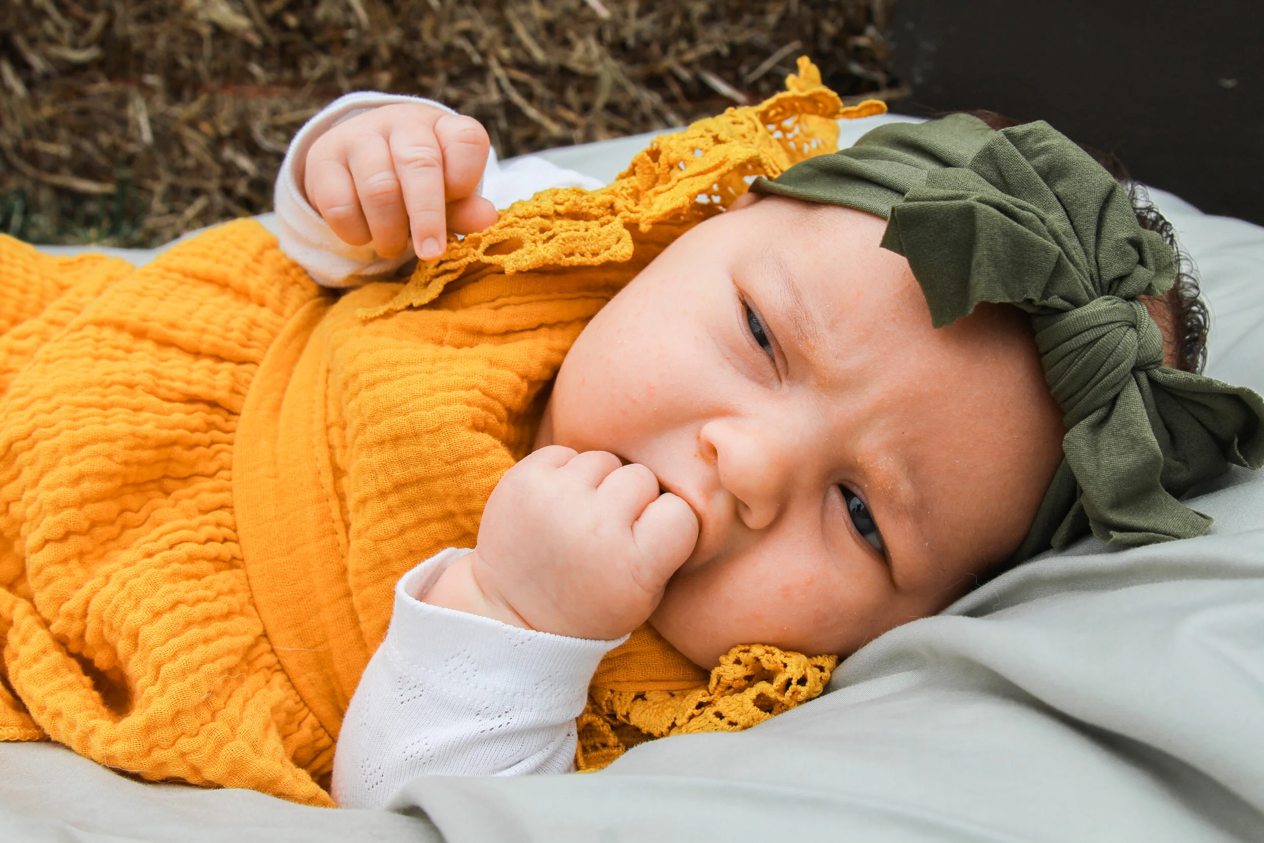 Newborn — Sompel Photography