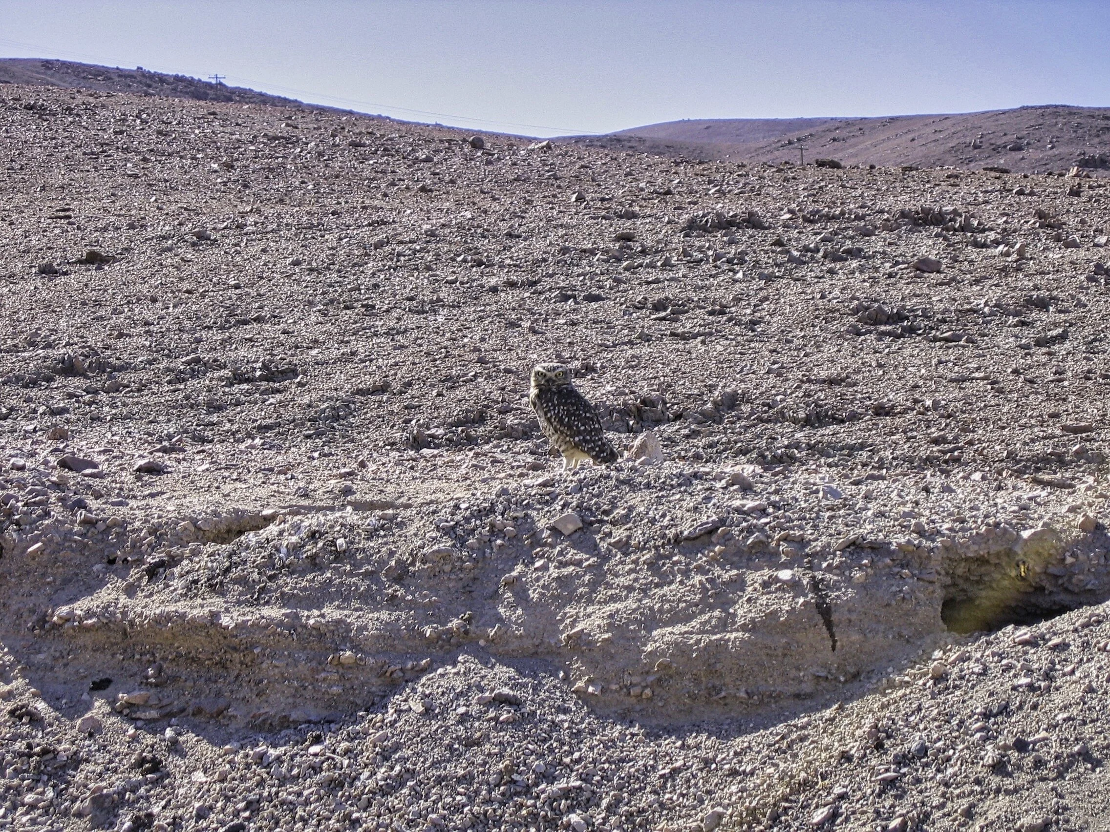 Chile — Rick Allmendinger's Stuff