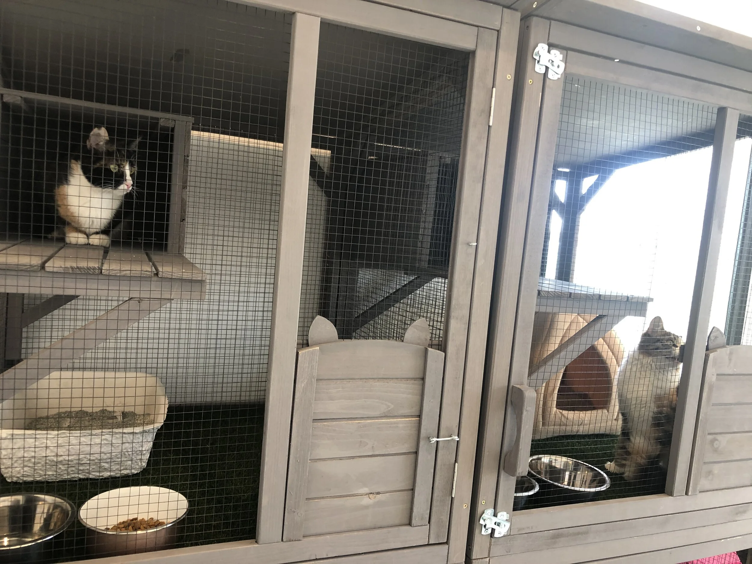 White House Pet Supplies