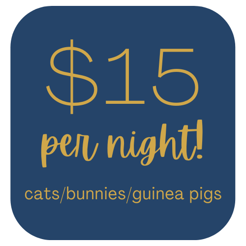 Boarding — White House Pet Supplies