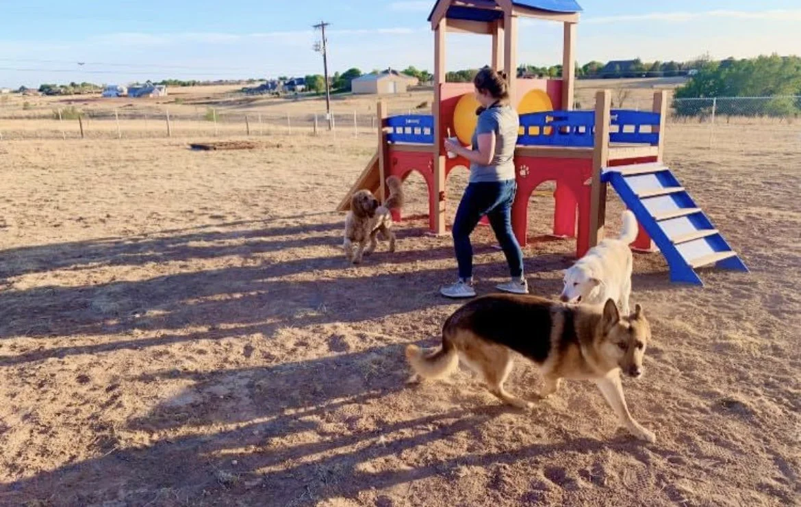 White House Pet Supplies