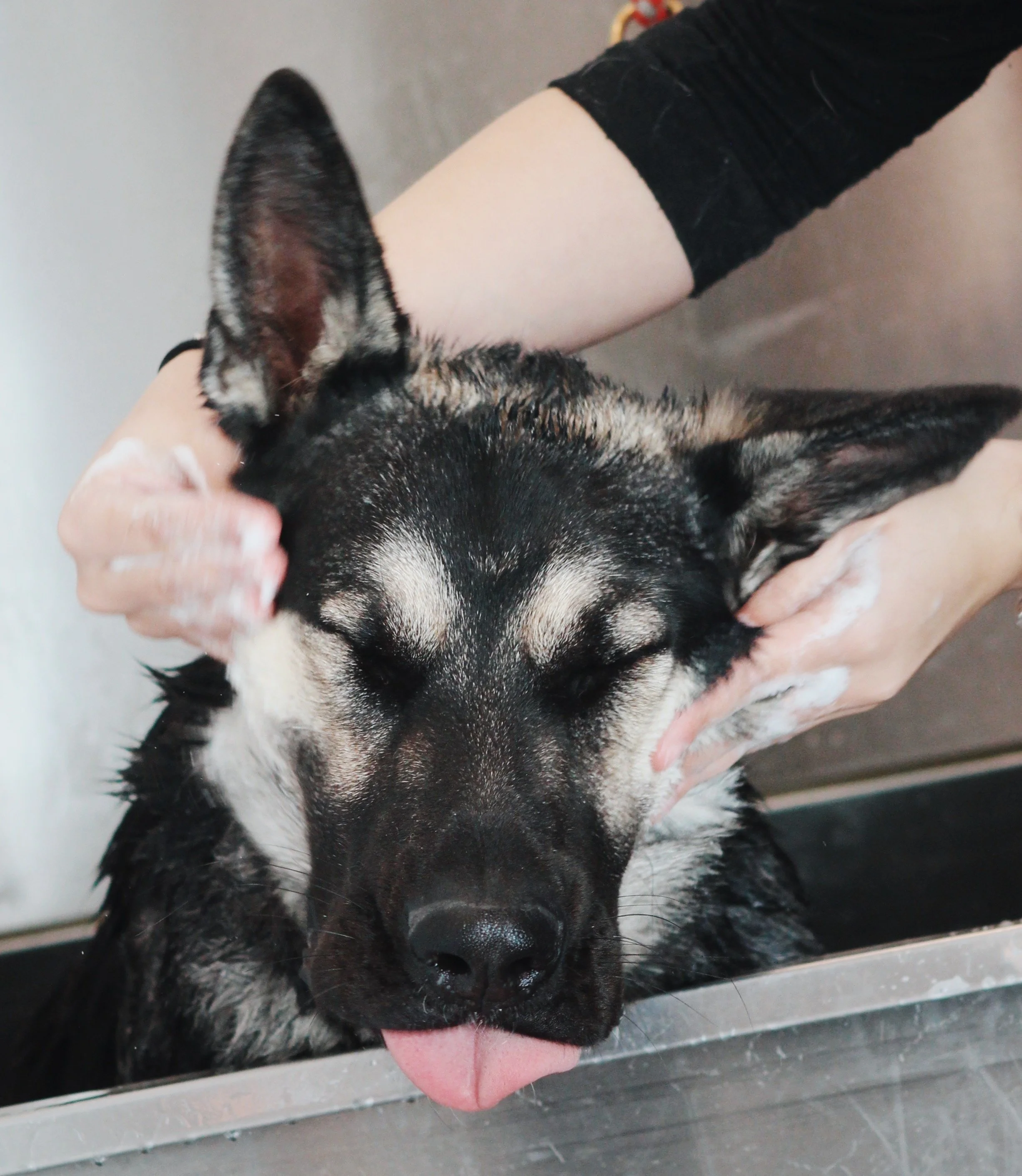 FullSizeRender_VSCO 3.JPG