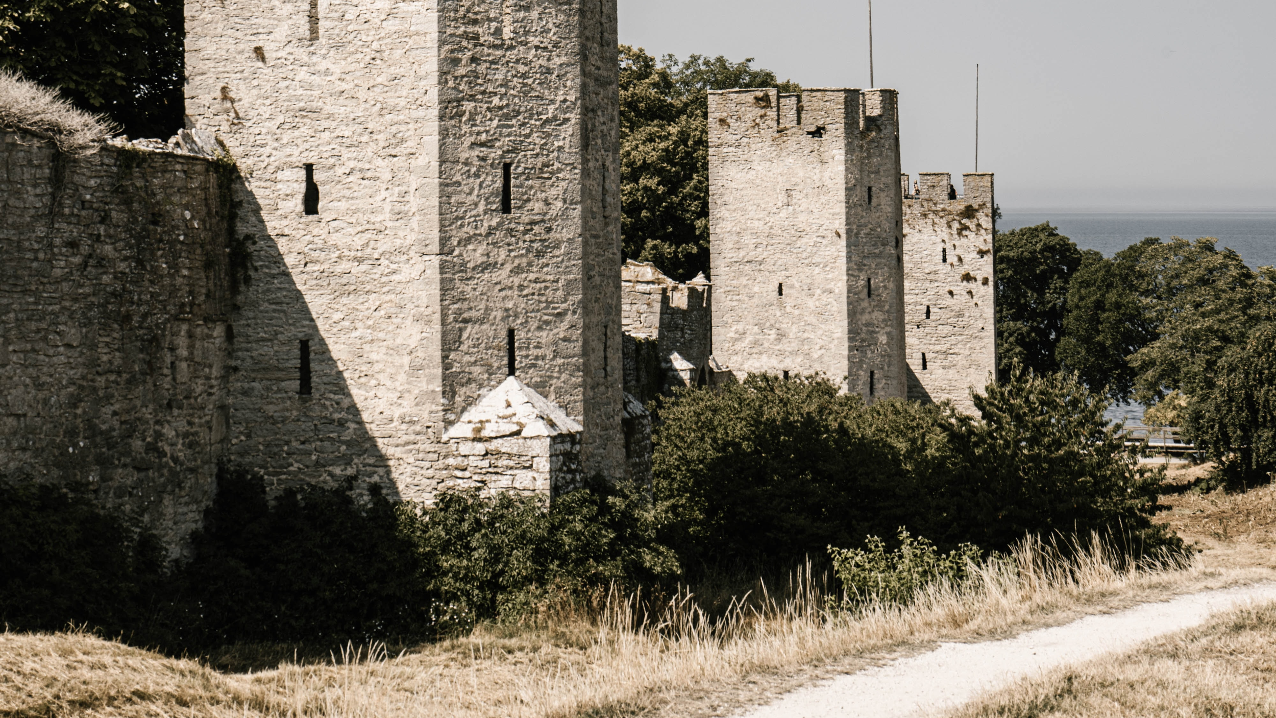 Story Preview: Knightly Virtues