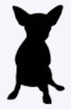 The Black Chihuahua