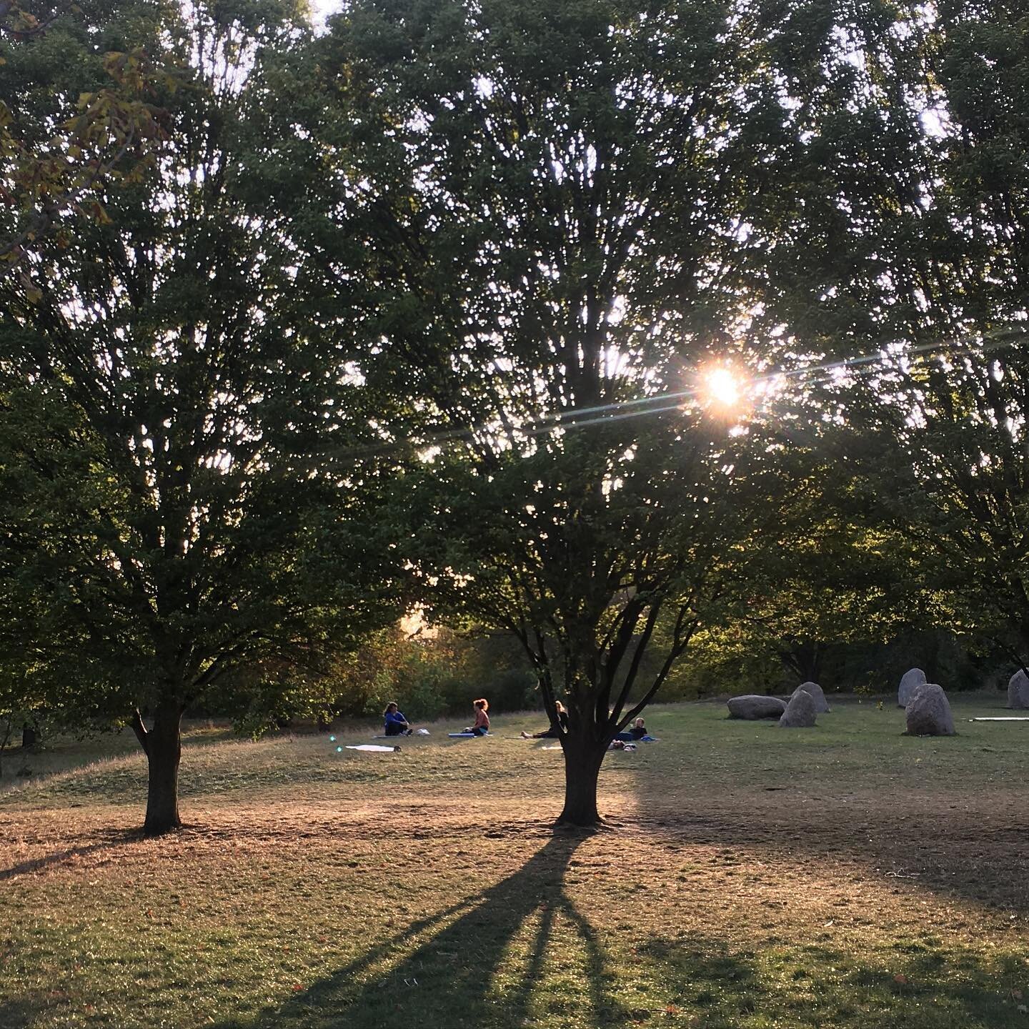 Yoga in the park

This pic was from the last park session of summer 2020. The wind was starting to feel a little chilly and the light becoming golden. 

It&rsquo;s been magical to restart this weekly communion in the park, with the park, with ourselv