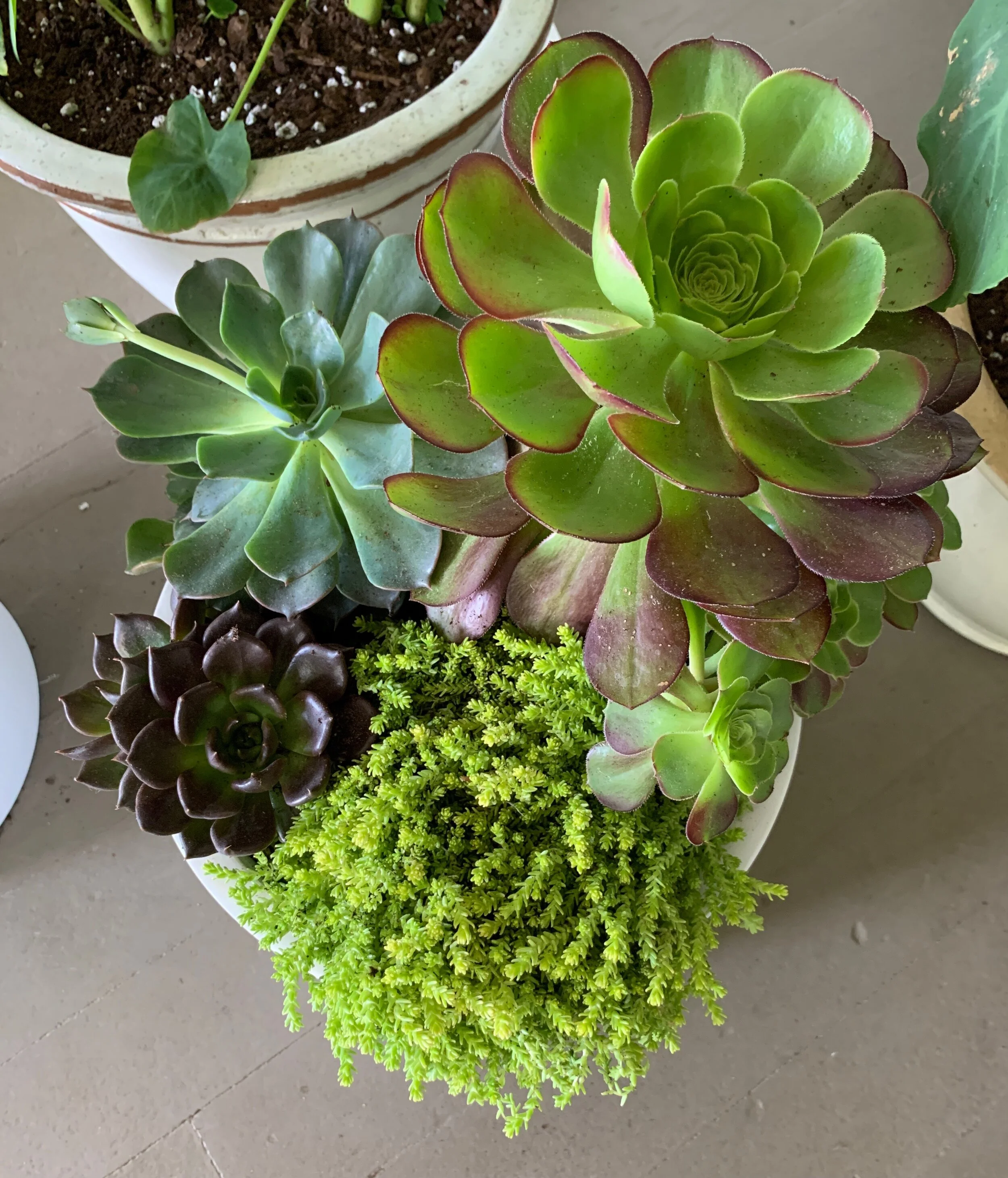 Garden Center — White Oak Farm & Gardens