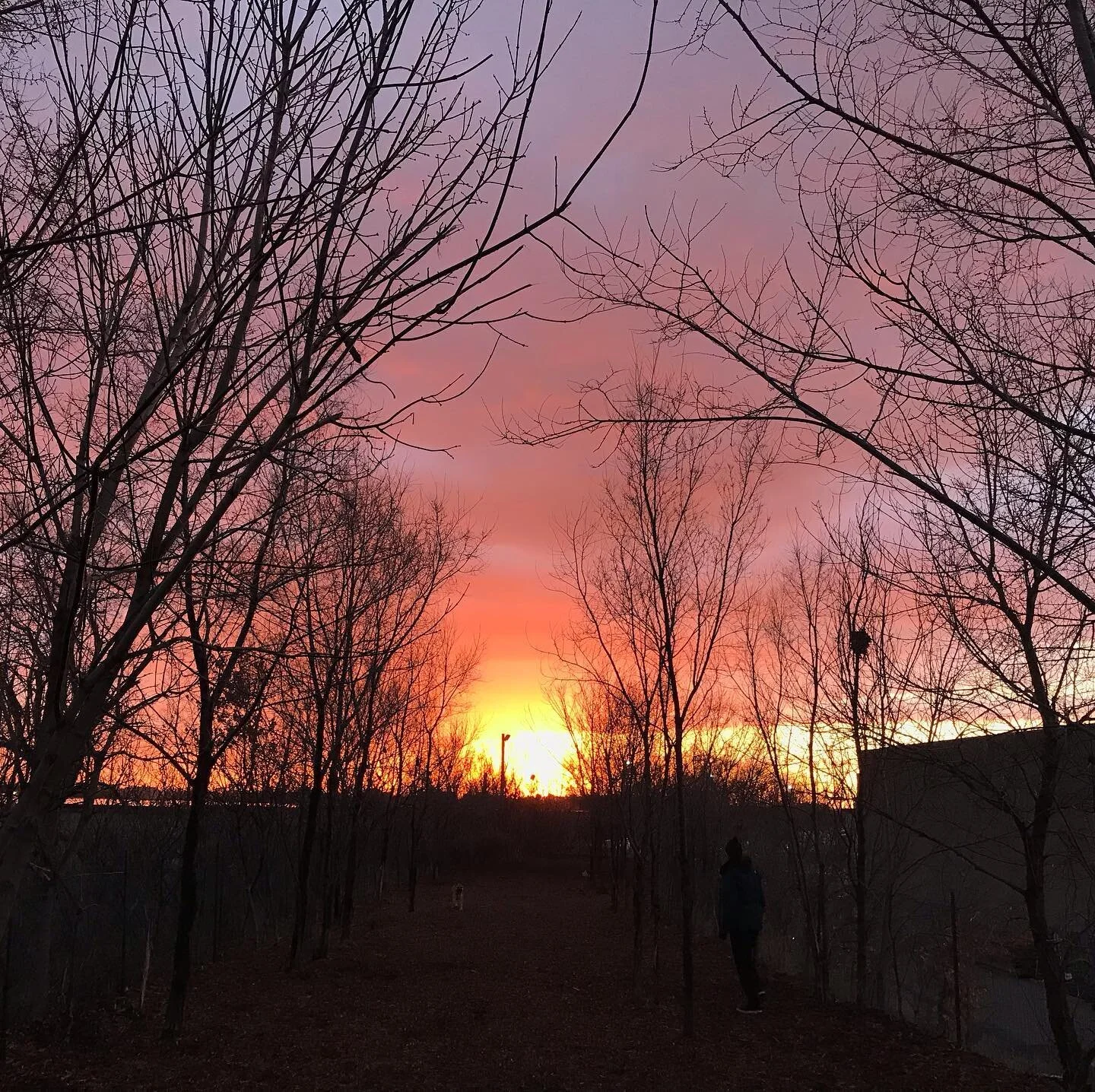 City sunsets and hearing songs in my head

&ldquo;Sundown across the land
Figure out what you don&rsquo;t understand 
A million leaves fly while the wind blows your mind&rdquo; @mattmaysmusic 

#magichour