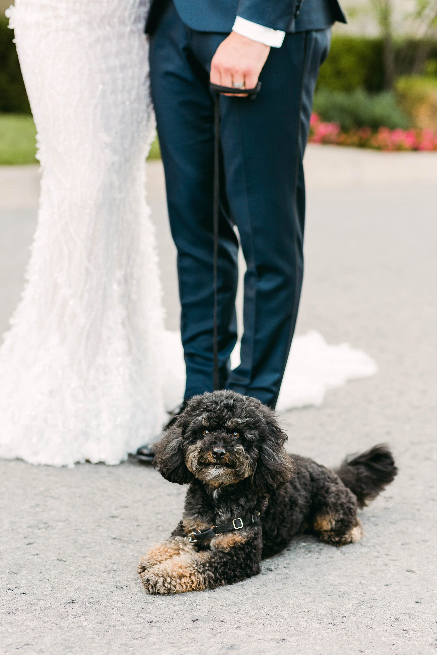 John and Aryne Tavares Wedding At Peller Estates - Rachel A. Clingen Wedding  & Event Design