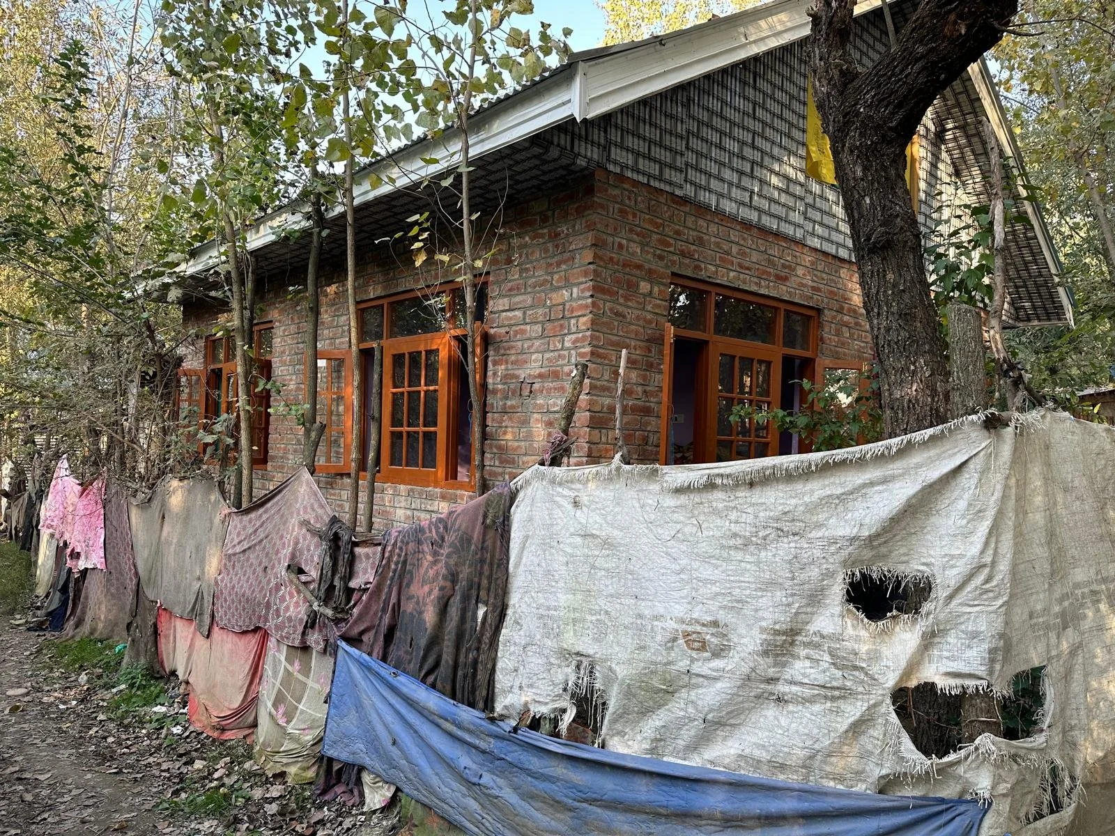 WhatsApp Image 2025-10-22 at 15.32.42_e4c2578e.jpg