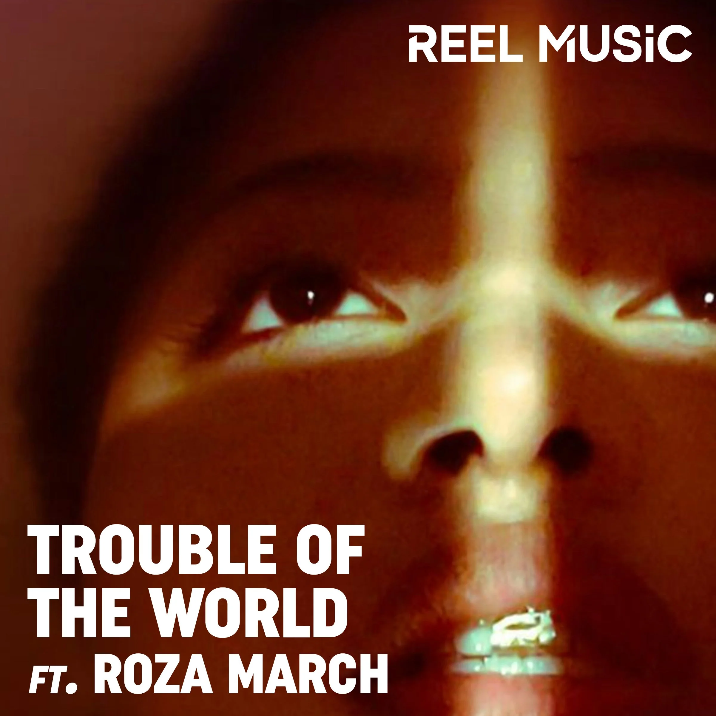 Trouble Of The World