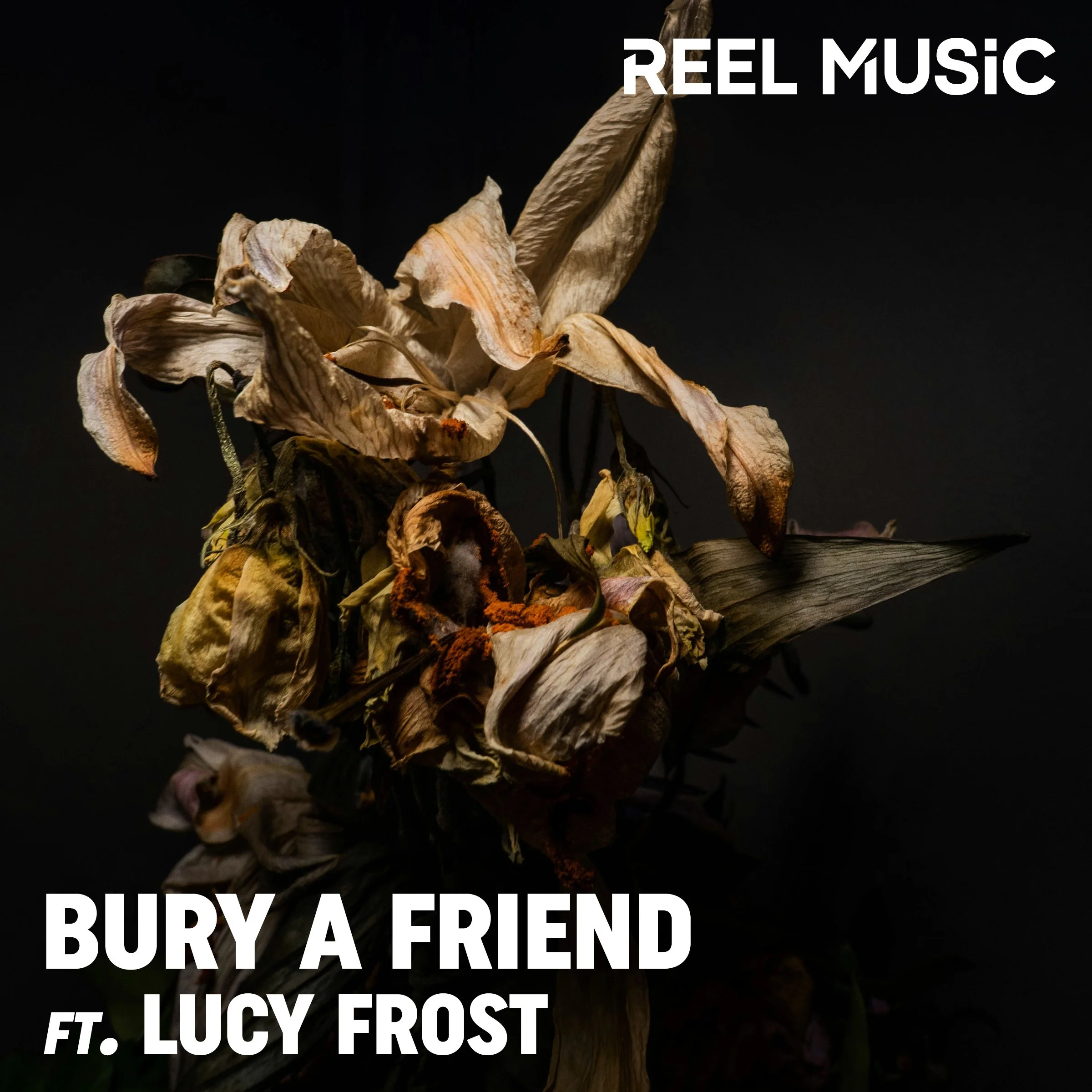 Bury A Friend