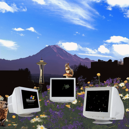 MSFT_Build_25_Gif_SeattleAesthetics_500x500.gif