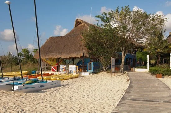 Dressel Divers dive center at Iberostar Waves Cozumel