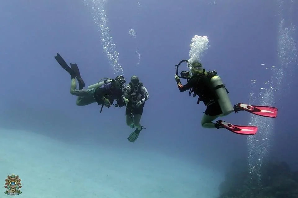 dory-jefe-diving-pics.jpg