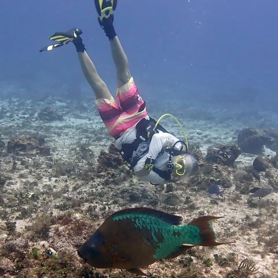 Jefé scuba diving near a rainbow parrotfish on a coral reef in Cozumel.
