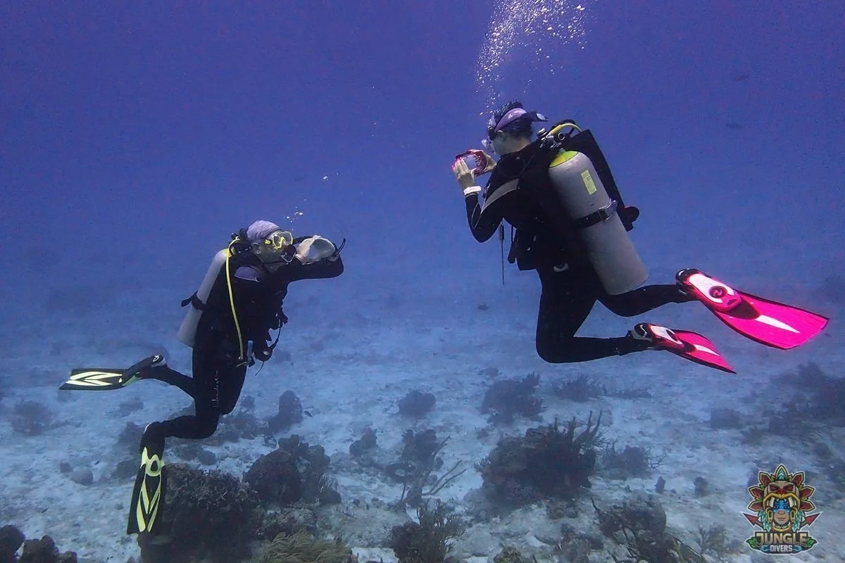 Dory (Shannon Coleman) and husband Jeff "Jefe" Coleman scuba diving in Cozumel while photographing the island's vibrant underwater world.