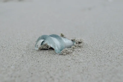 Sea glass found while beachcombing along the beaches of Cozumel