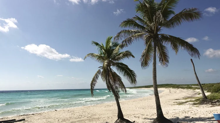Turquoise Caribbean water and sandy beach in Cozumel, Mexico