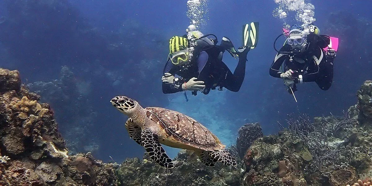 Exploring Cozumel's underwater reefs while scuba diving in the Caribbean Sea.
