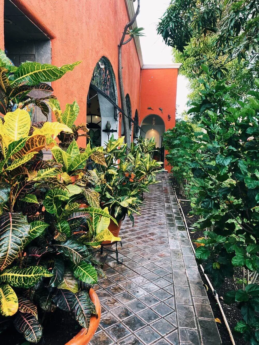 Explore the beautiful Casa Mission grounds during your authentic Mexican dinner experience