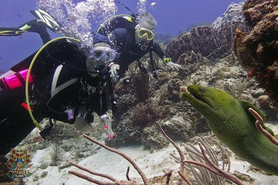 Dory and Jefe scuba diving with a moray eel on a coral reef in Cozumel, Mexico