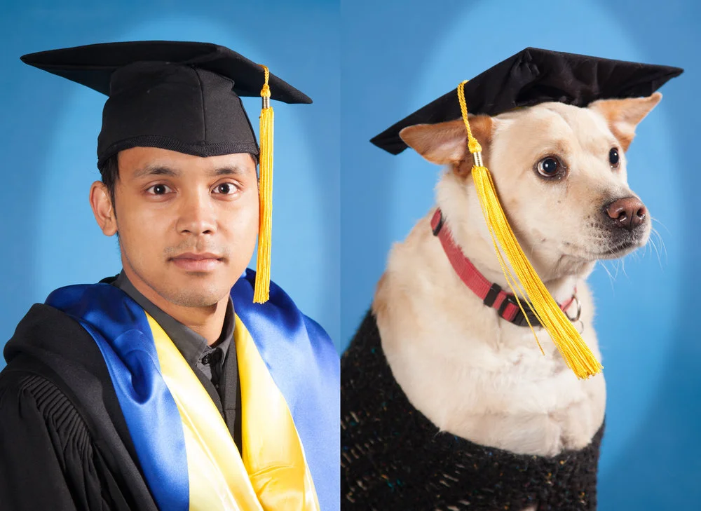 Kevin and Killer Graduate