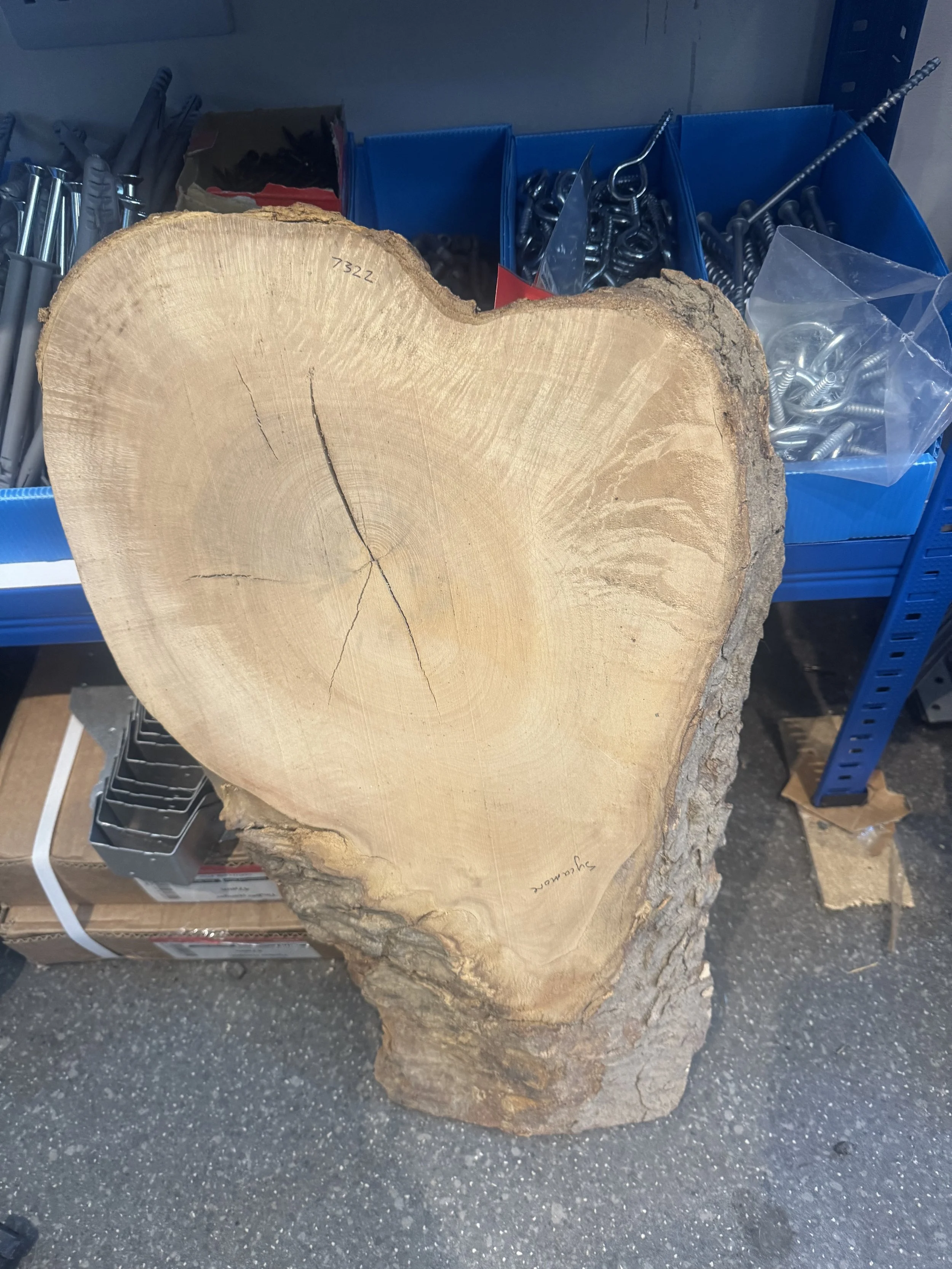 Sycamore Timber waney board