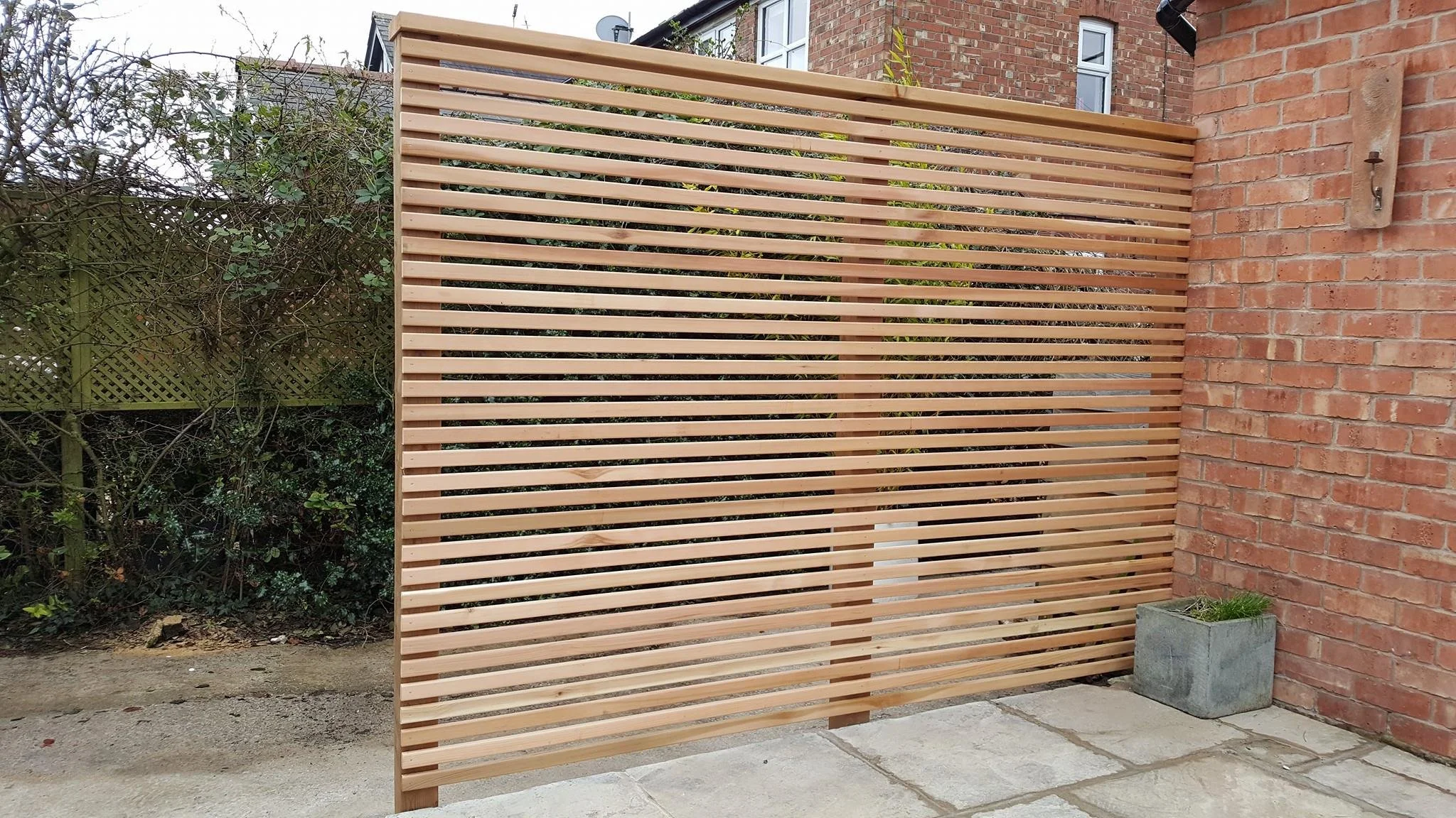 western red cedar.jpg