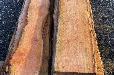 waney larch boards.jpg